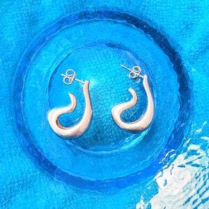 RLM Studio Robert Lee Morris Sterling Silver Pierced Earrings❣️